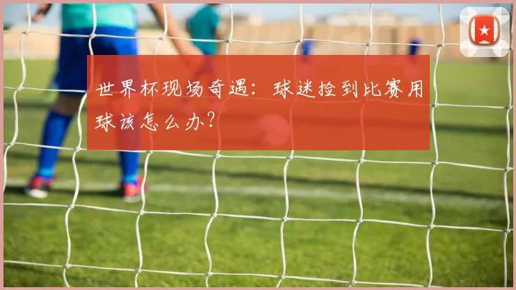 世界杯现场奇遇：球迷捡到比赛用球该怎么办？