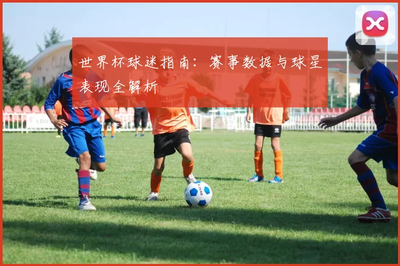 世界杯球迷指南：赛事数据与球星表现全解析