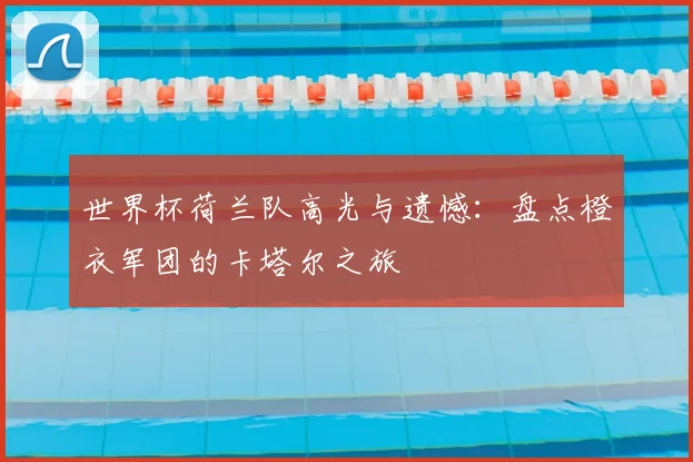 世界杯荷兰队高光与遗憾：盘点橙衣军团的卡塔尔之旅