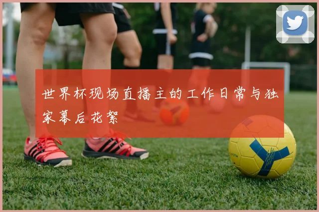 世界杯现场直播主的工作日常与独家幕后花絮