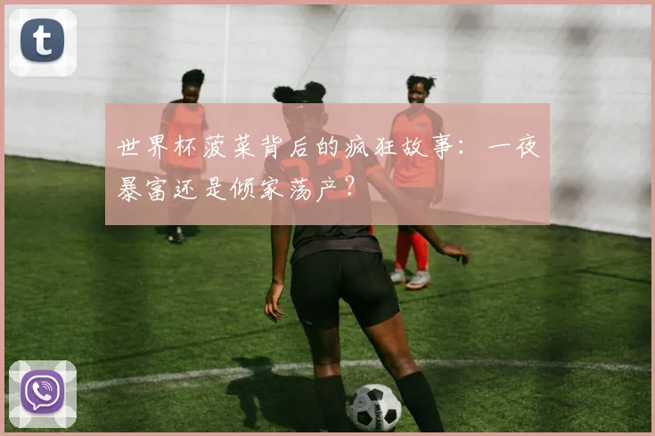 世界杯菠菜背后的疯狂故事：一夜暴富还是倾家荡产？