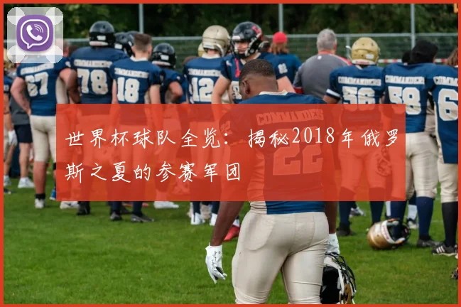 世界杯球队全览：揭秘2018年俄罗斯之夏的参赛军团