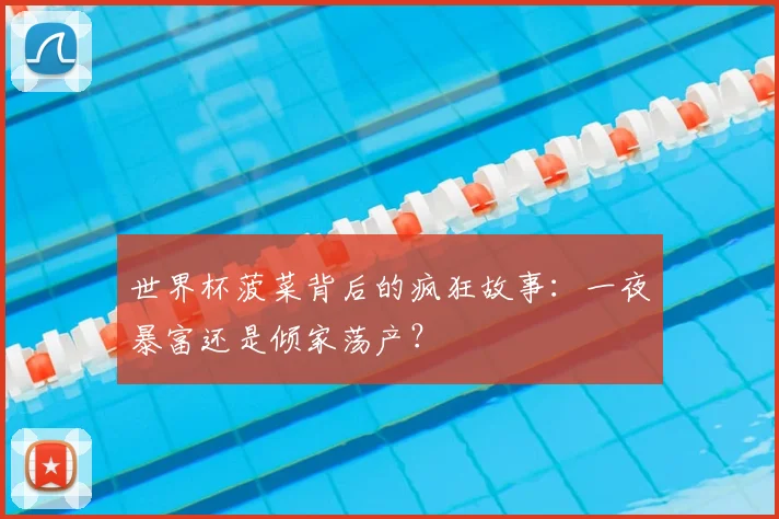 世界杯菠菜背后的疯狂故事：一夜暴富还是倾家荡产？