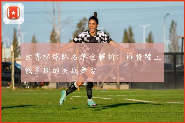 世界杯球队名单全解析：谁将踏上俄罗斯的决战舞台