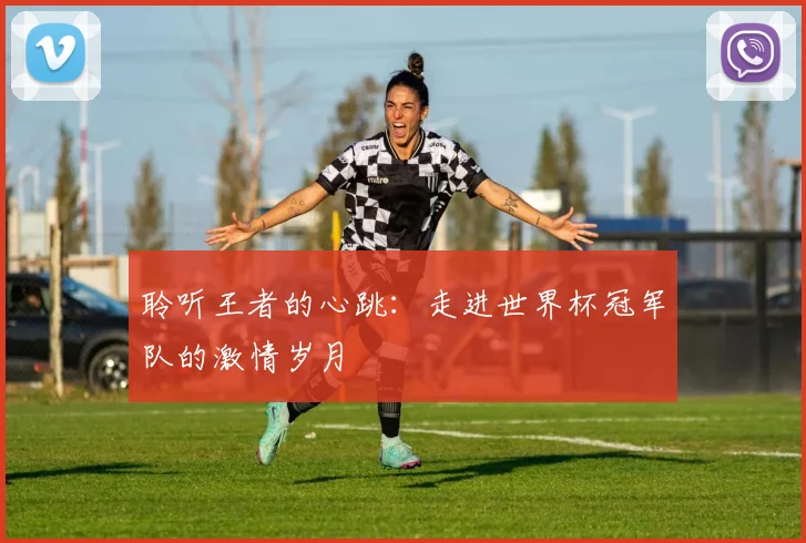 聆听王者的心跳:走进世界杯冠军队的激情岁月