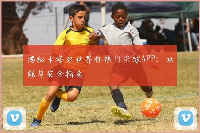 揭秘卡塔尔世界杯热门买球APP：功能与安全指南